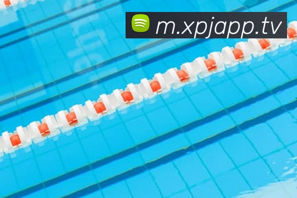 澳门新葡京官网平台生态图